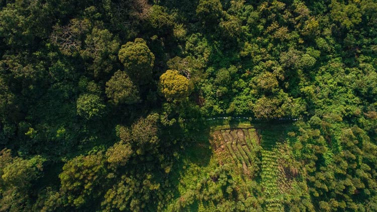 Our future hangs in the balance: climate change and biodiversity loss