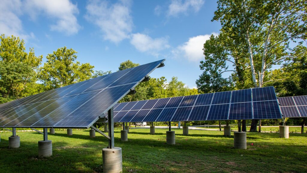 solar panel field at Tyson