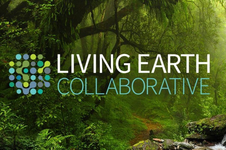 Living Earth Collaborative