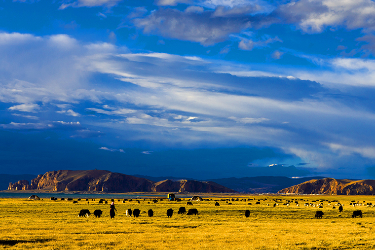 Prehistoric mobility among Tibetan farmers, herders shaped highland settlement patterns, cultural interaction, study finds