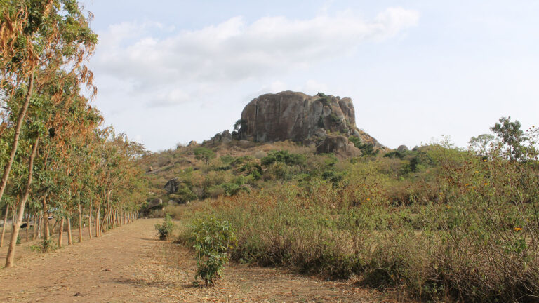 Archaeologists report earliest evidence for plant farming in east Africa