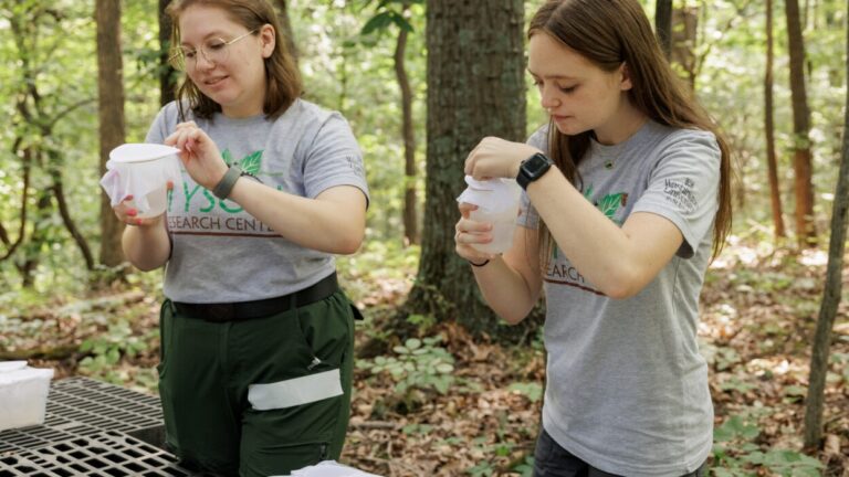 Tyson Center gets local high schoolers involved in research 