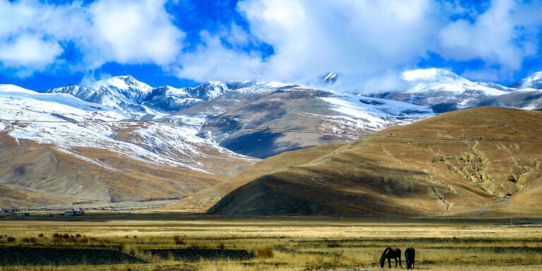 WashU scientists uncover hidden source of snow melt: dark brown carbon