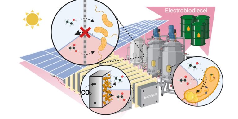 Researchers create novel electro-biodiesel more efficient, cleaner than alternatives