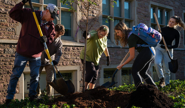 Home to 6,500 trees, WashU Arboretum earns rare status