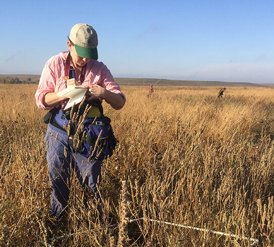 Reawakening ‘sleeping’ crops to combat today’s climate crisis