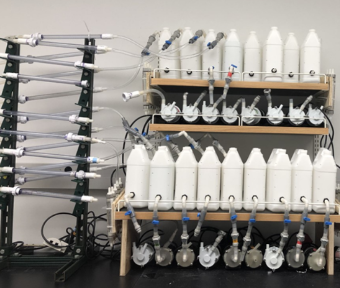 Giammar: Minimizing Release of Lead From Plumbing Materials When Introducing Advanced Treated Water