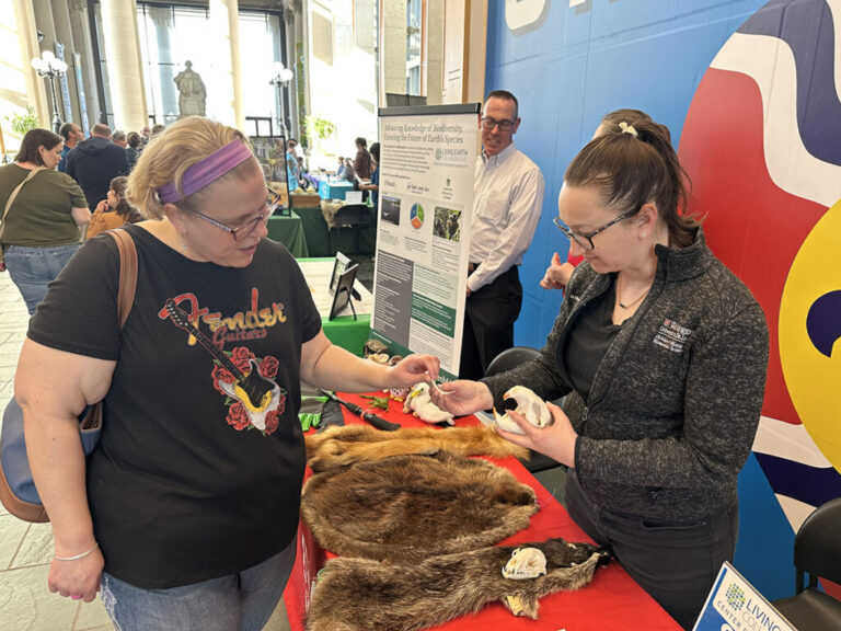 WashU-sponsored Thursday Nights at the Museum celebrate St. Louis