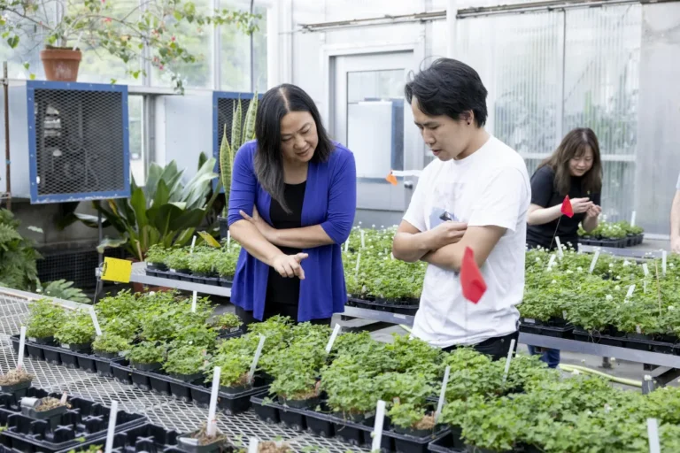 Zhong wins several major research grants