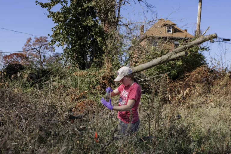 WashU faculty and students search for a hidden hazard in a tornado’s path