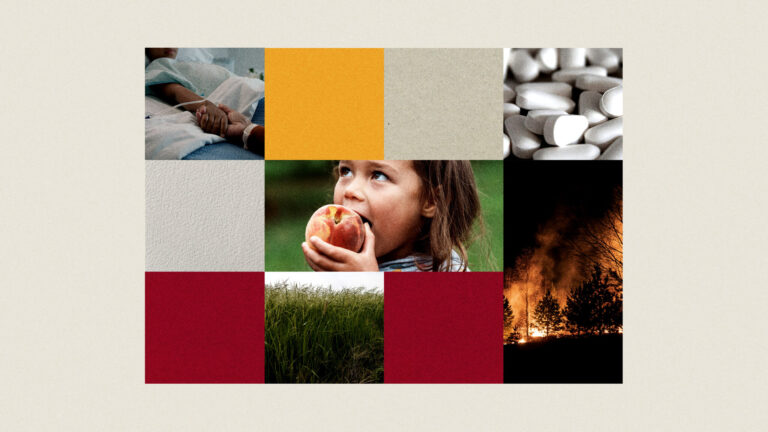 Ignite Interdisciplinary Grant awardees announced