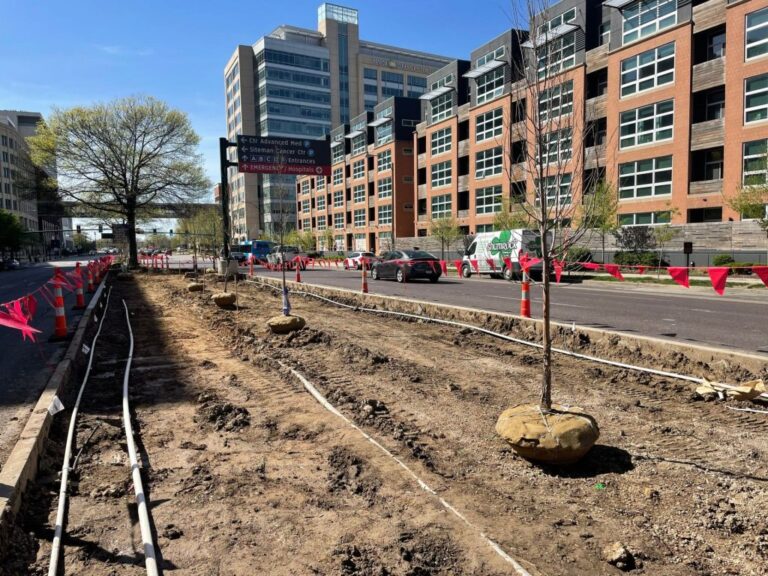 WashU Medical Campus recognized as first Tree Campus Healthcare facility in Missouri
