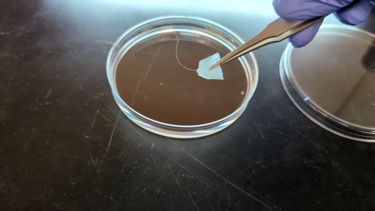 Synthetic biology leads to recyclable textiles