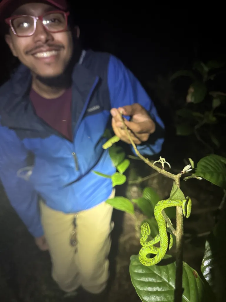 What I learned following a mentor into the jungle