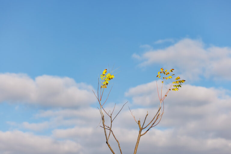 Air Quality and Health Initiative Research Spotlight: a case for collaboration 