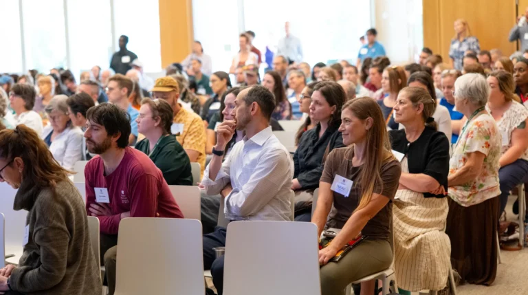 WashU students help imagine a greener St. Louis