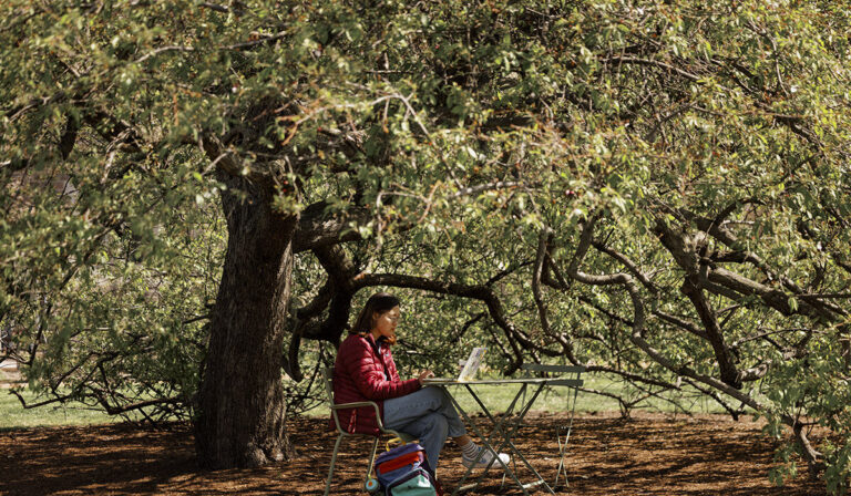 Wild crabapples have genetic potential to improve domestic varieties